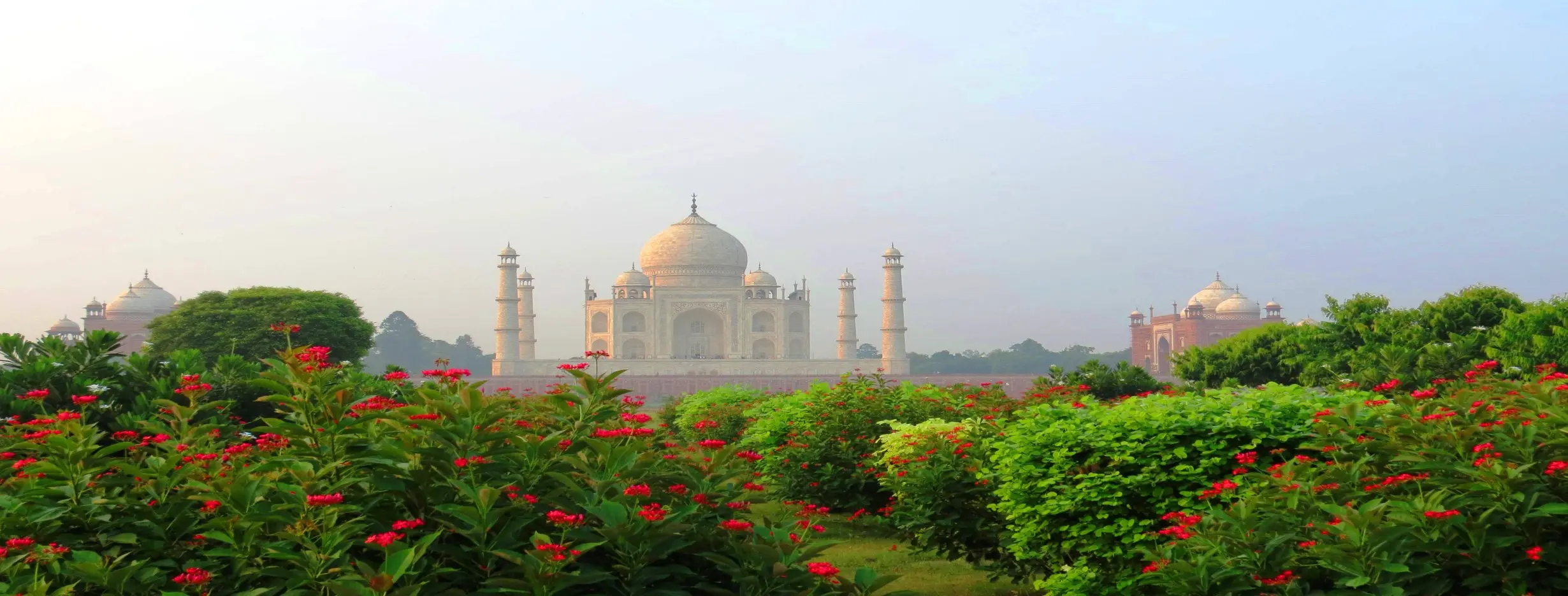 Image for Mehtab Bagh